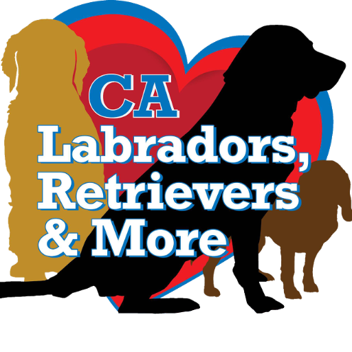 Labs and More Rescue