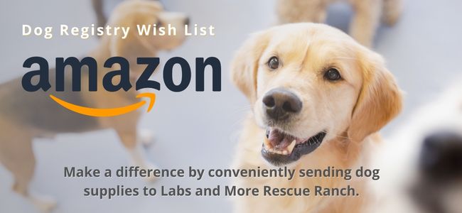 Labs and More Rescue partnership with Amazon Wishlist