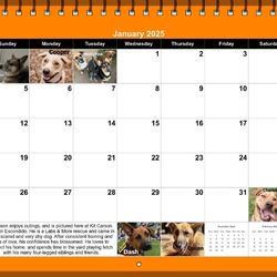 Labs and More Rescue 2025 Calendar