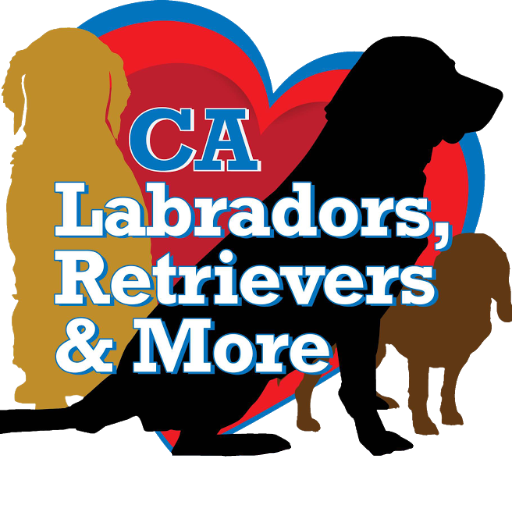 California Labradors Retrievers and More Rescue logo
