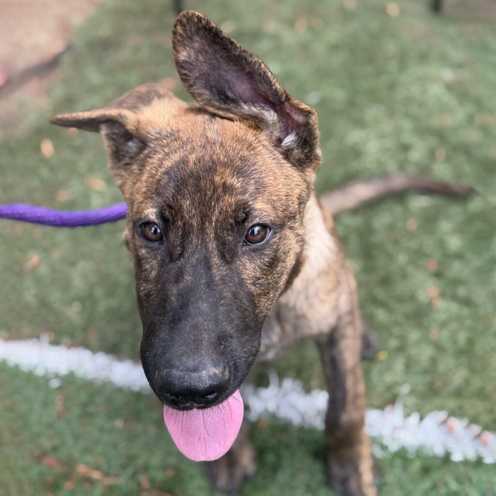 IMG_20250923_1939371