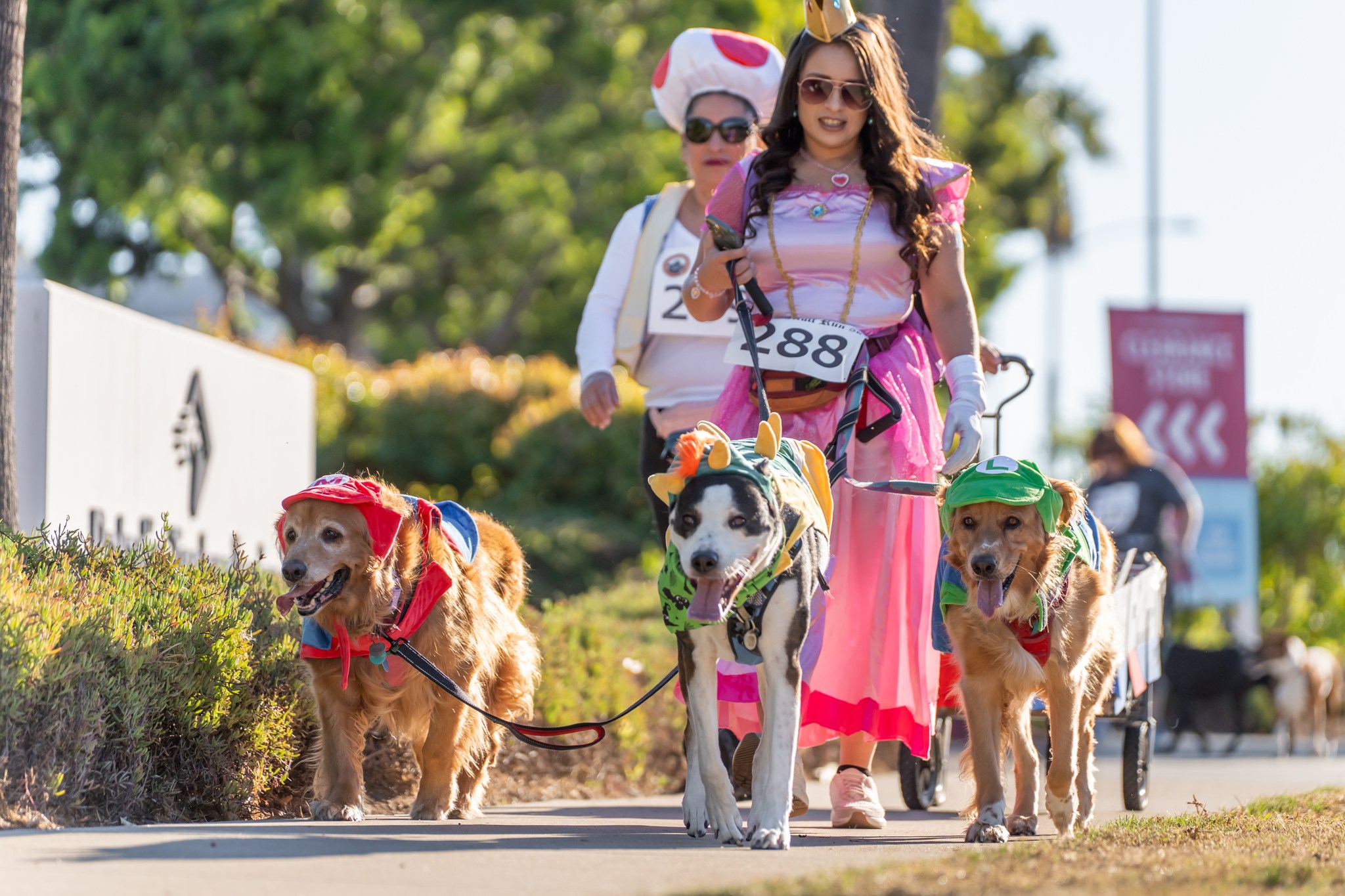 565256586_10164304816779789_1256328450612030414_n