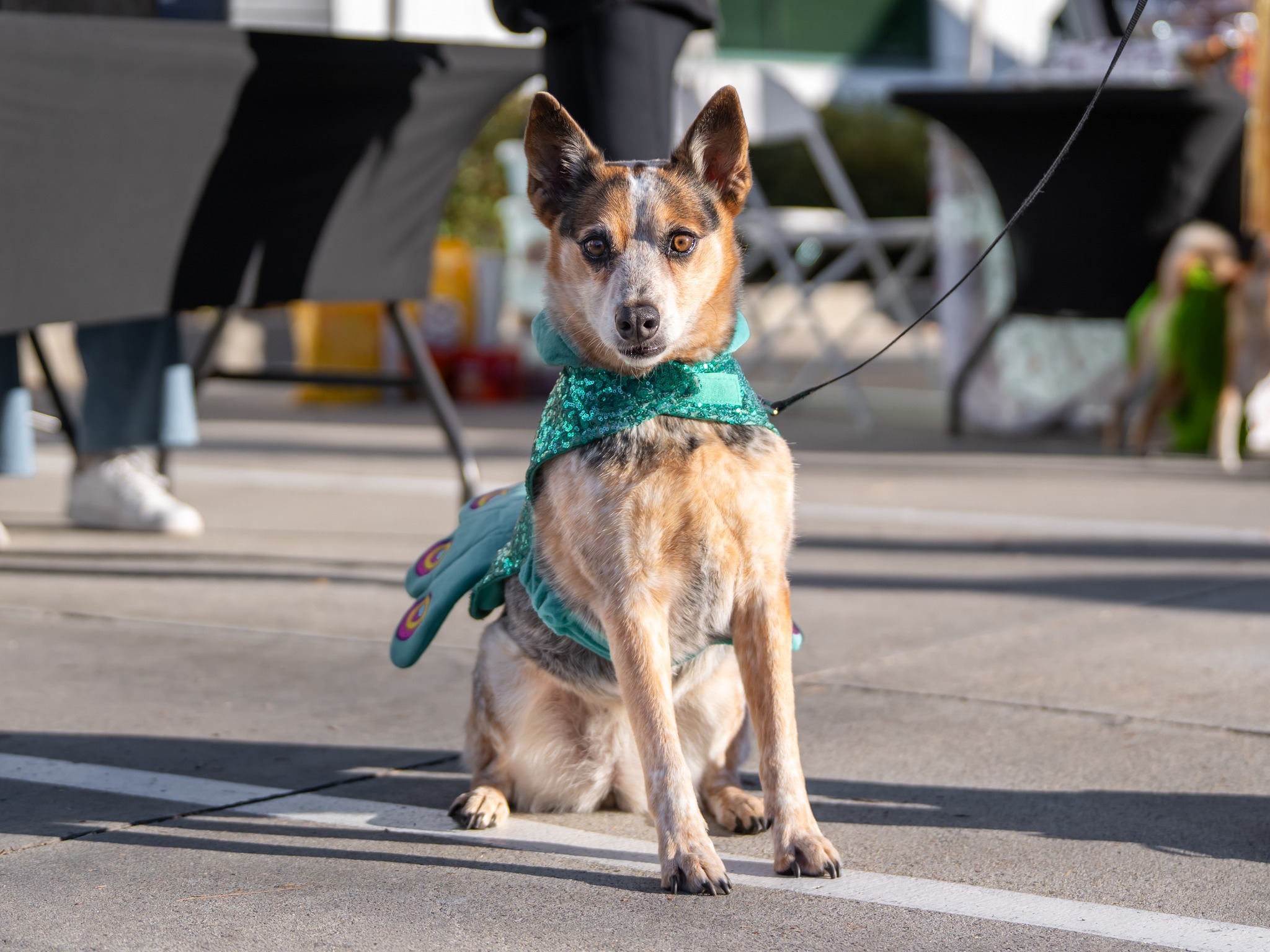 565710327_10164304772464789_300826351335605821_n