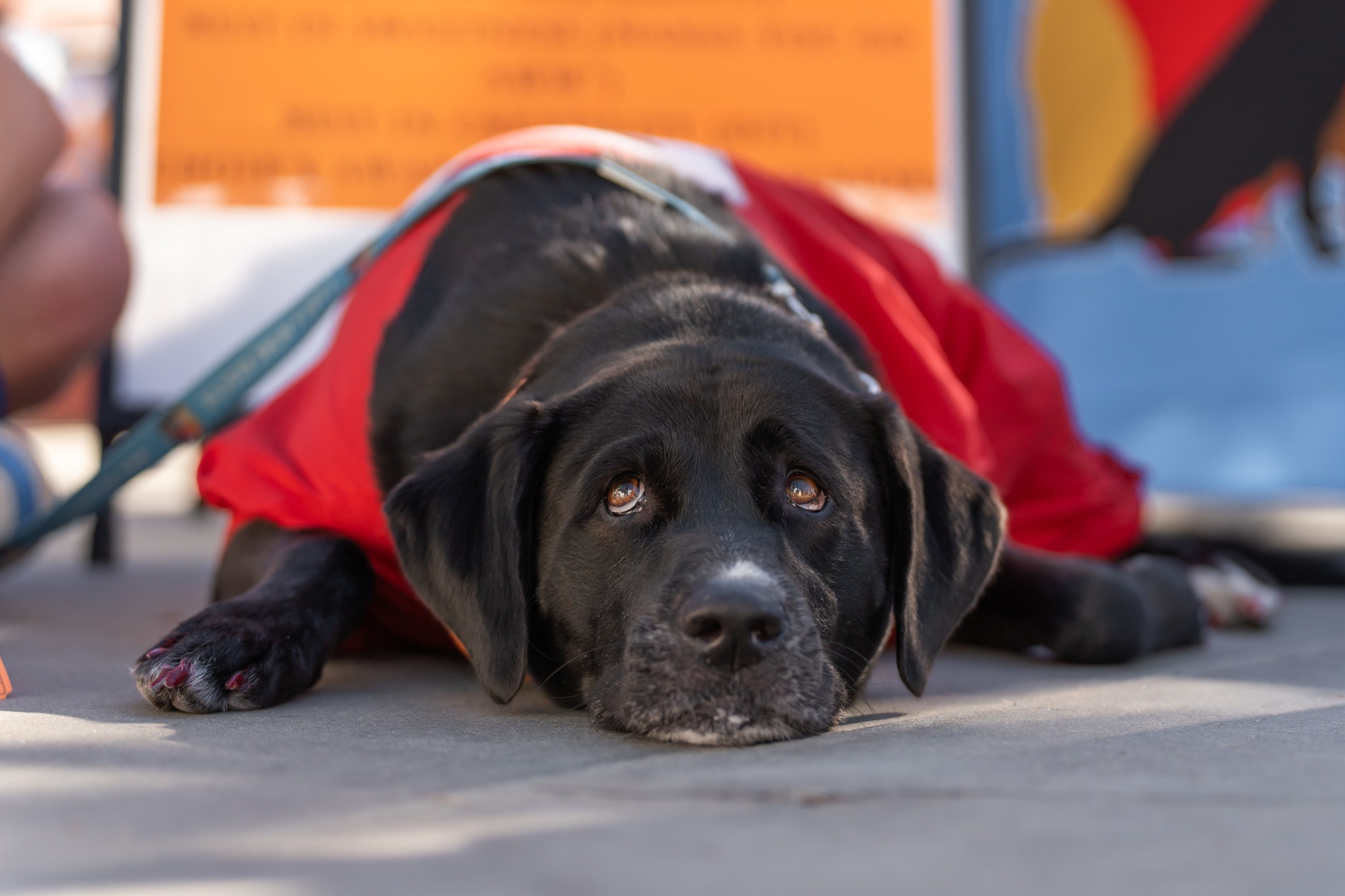 565731635_10164304934959789_5486598991923770007_n