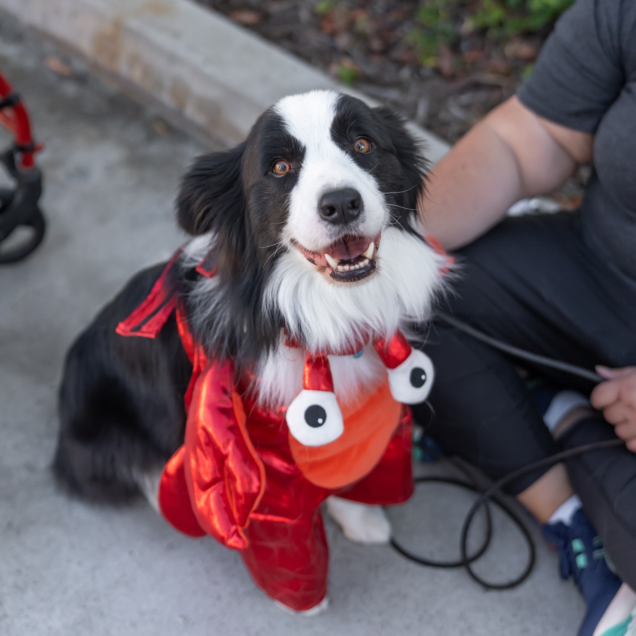 565736082_10164304937334789_1011714754361195372_n