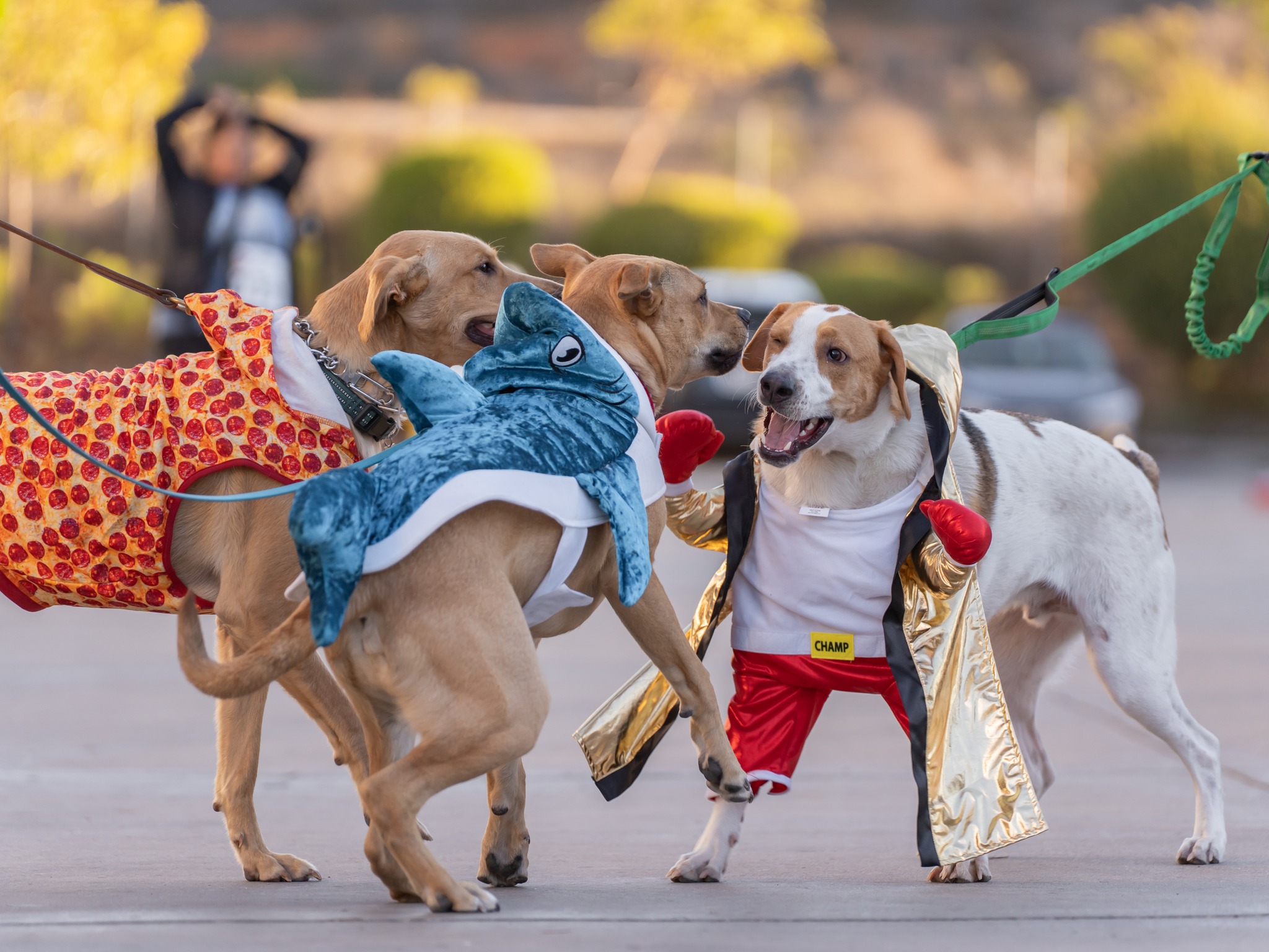 565824711_10164304772499789_4412181709807340830_n