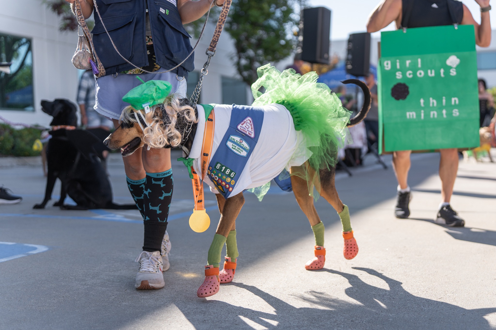 566220850_10164304936119789_3426042835180982194_n