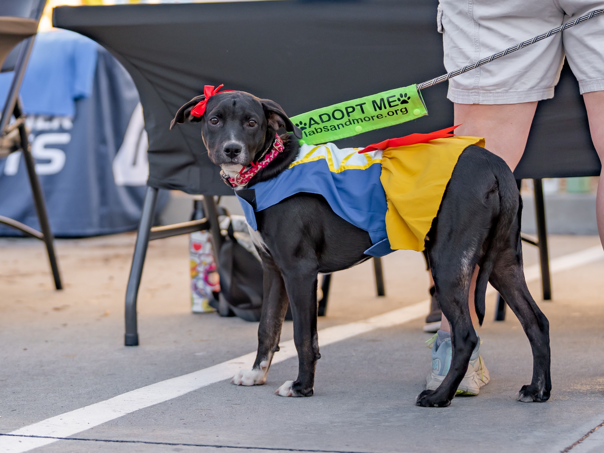 566223948_10164304772849789_8153561118995430779_n