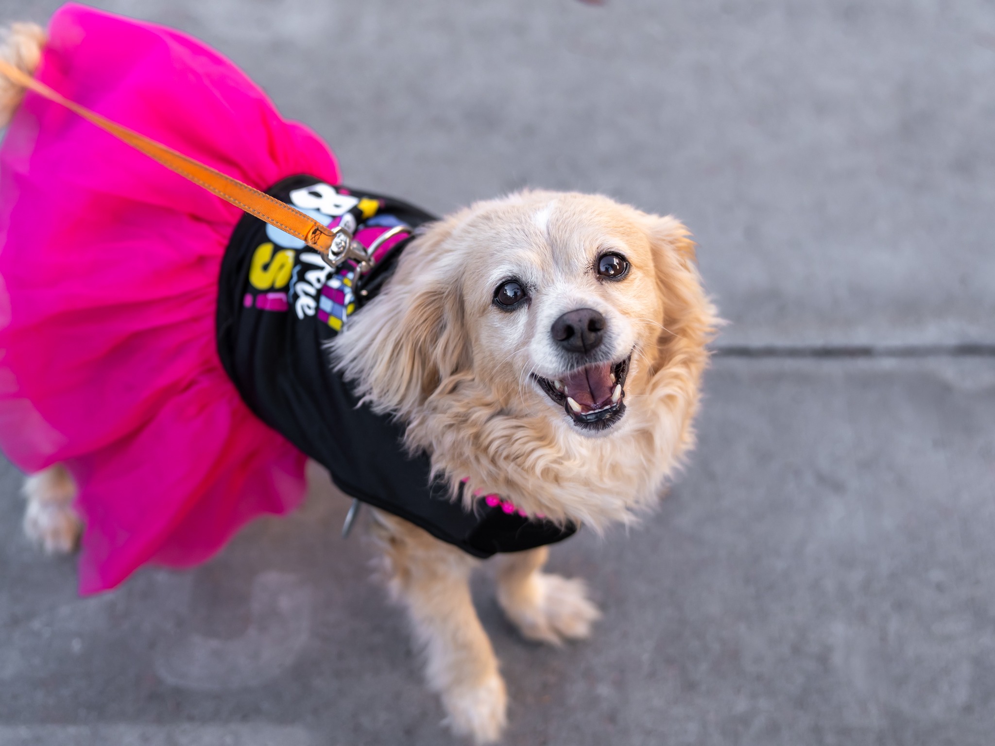 568116786_10164304771624789_5749643935749771005_n