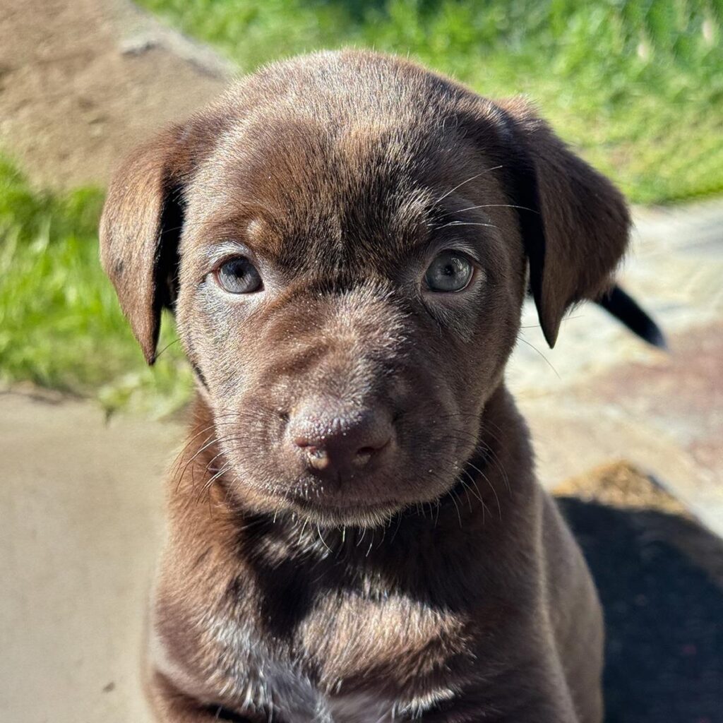 IMG_20260112_23044215