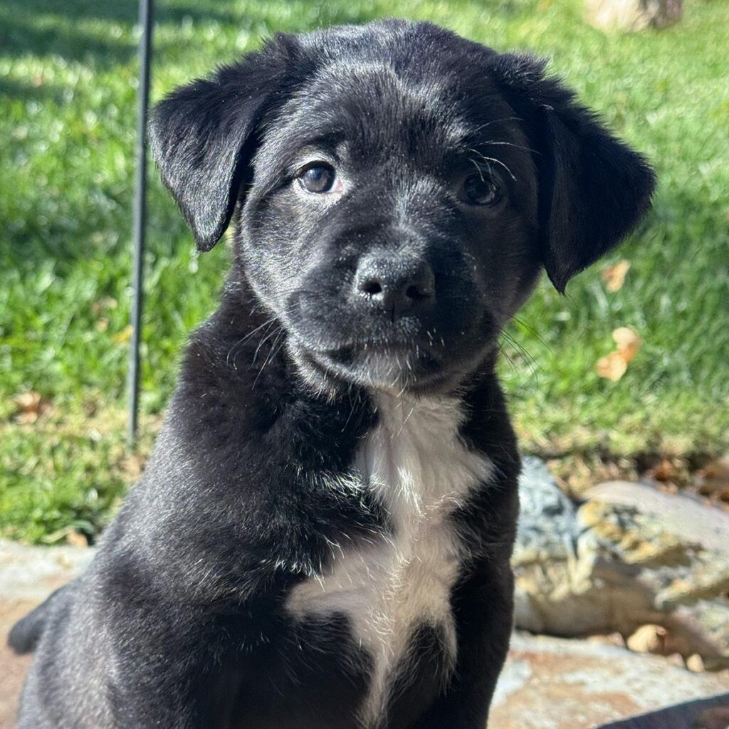 IMG_20260112_23044222