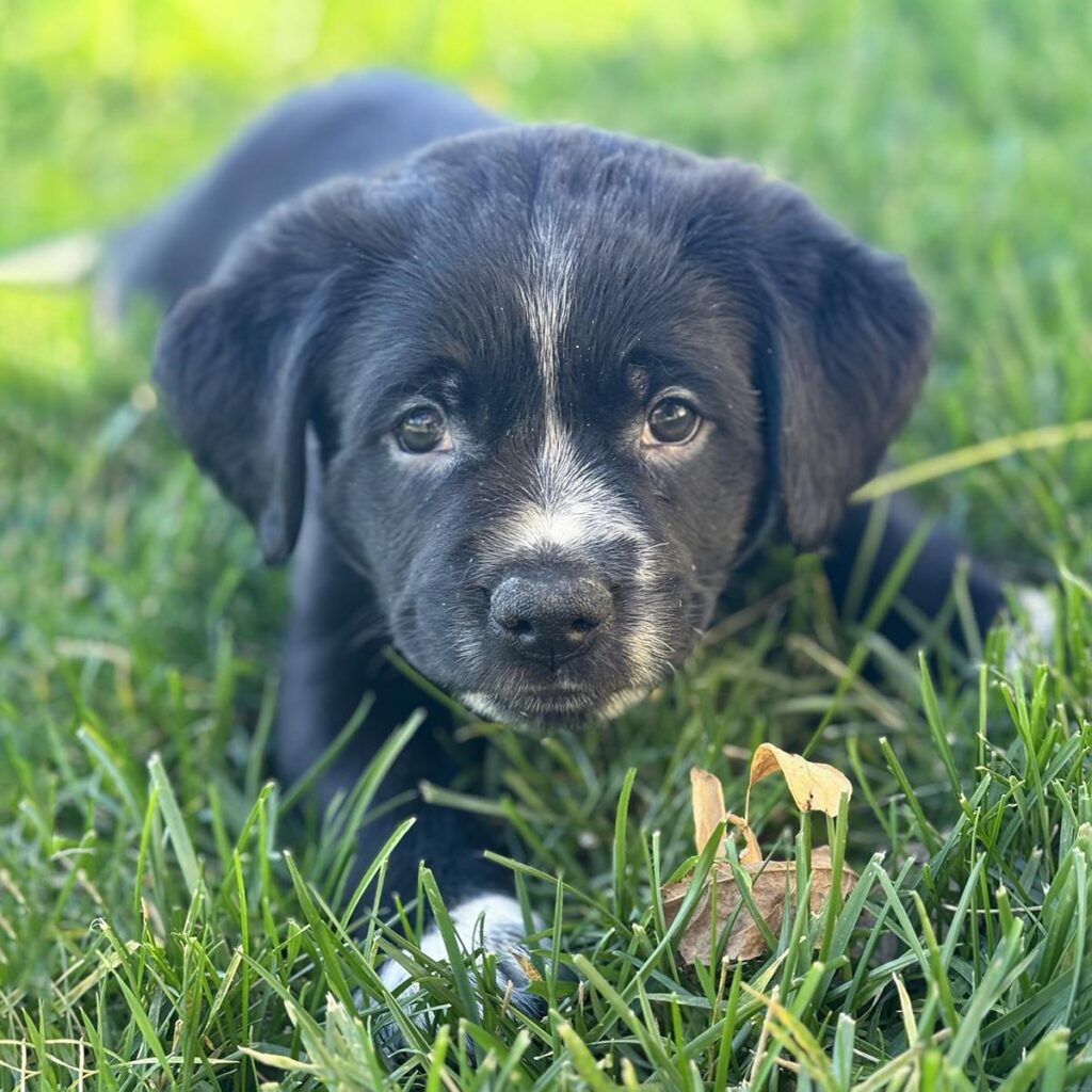 IMG_20260112_23044224