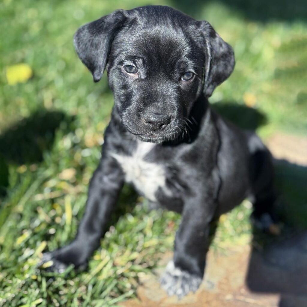 IMG_20260112_23044228