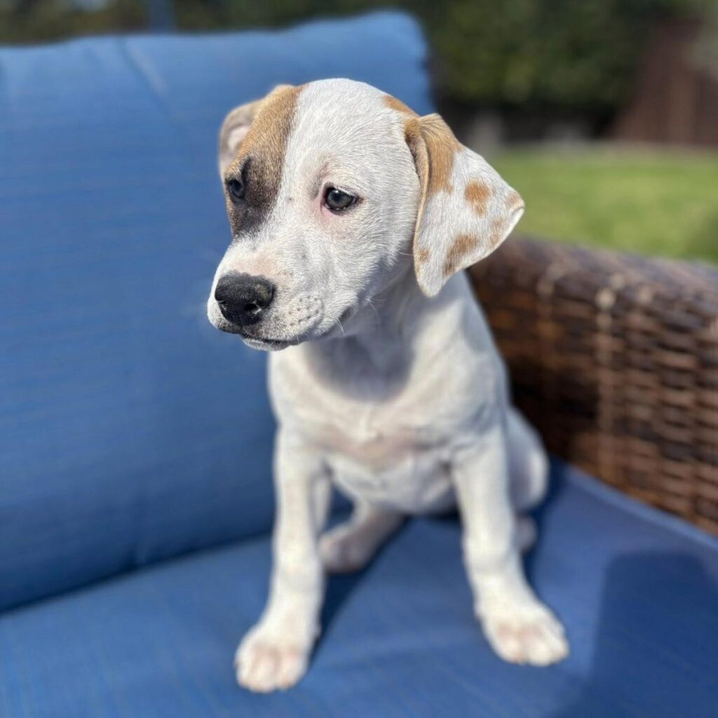 dew612329931_10241062880817787_1090371307864987422_n