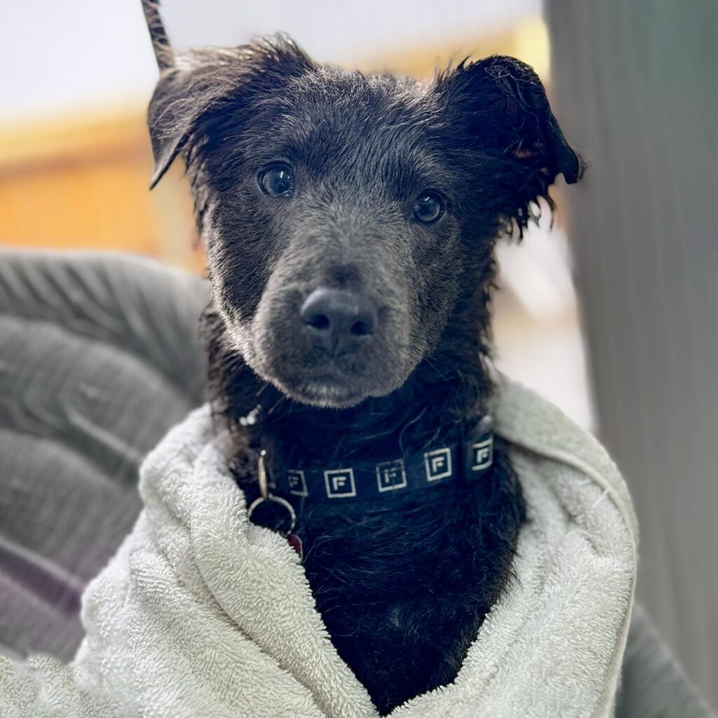 IMG_20260228_1931451