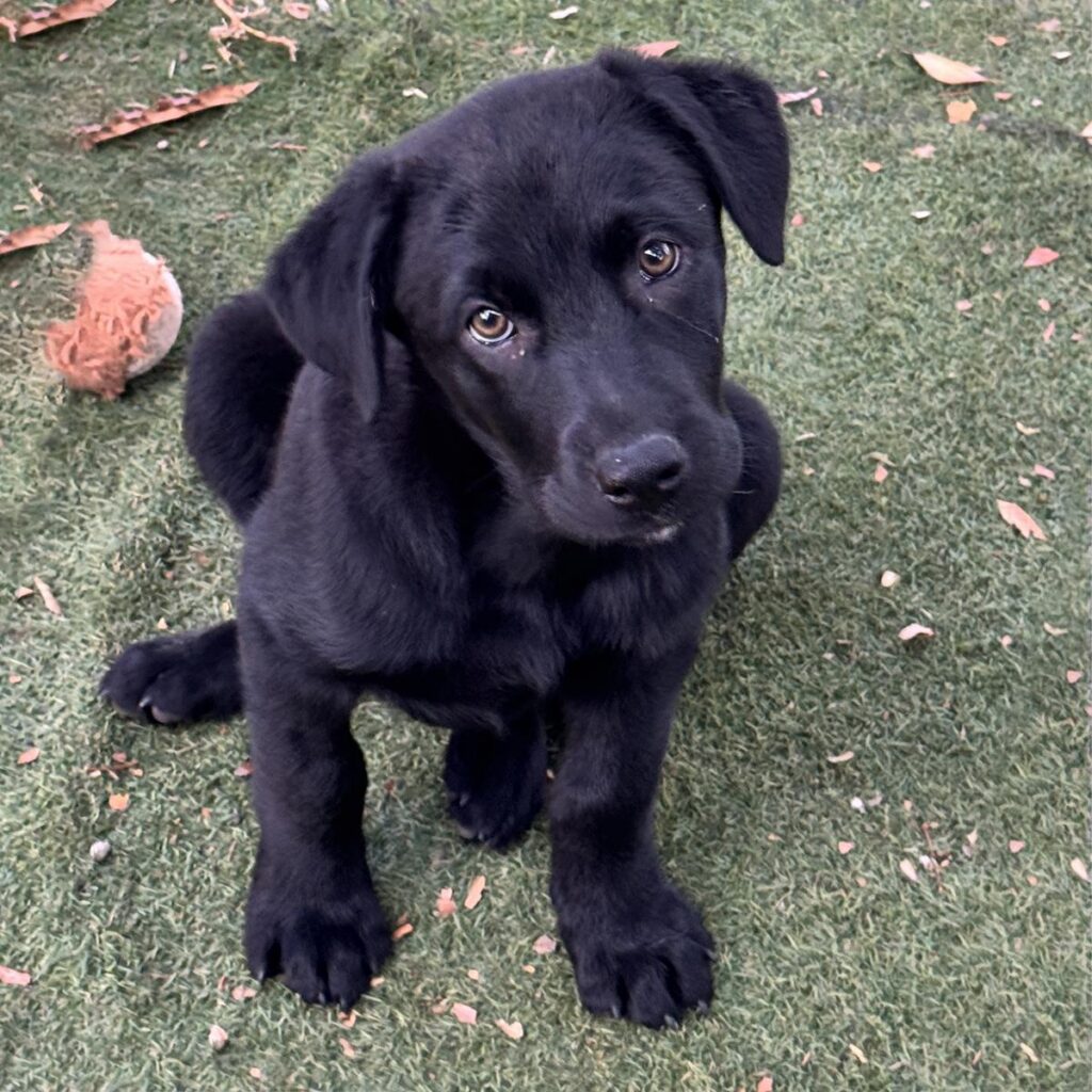 IMG_20260326_1009516_39d9b