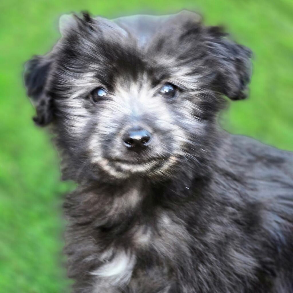 IMG_20260419_1914052