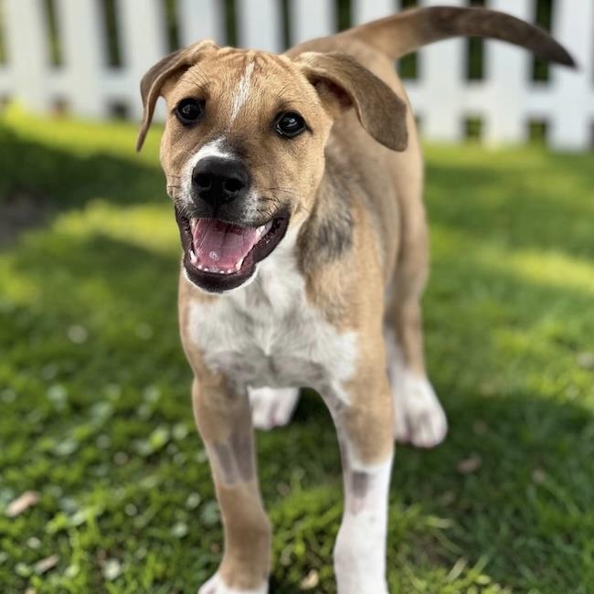 skyIMG_20260813_144950.jpeg