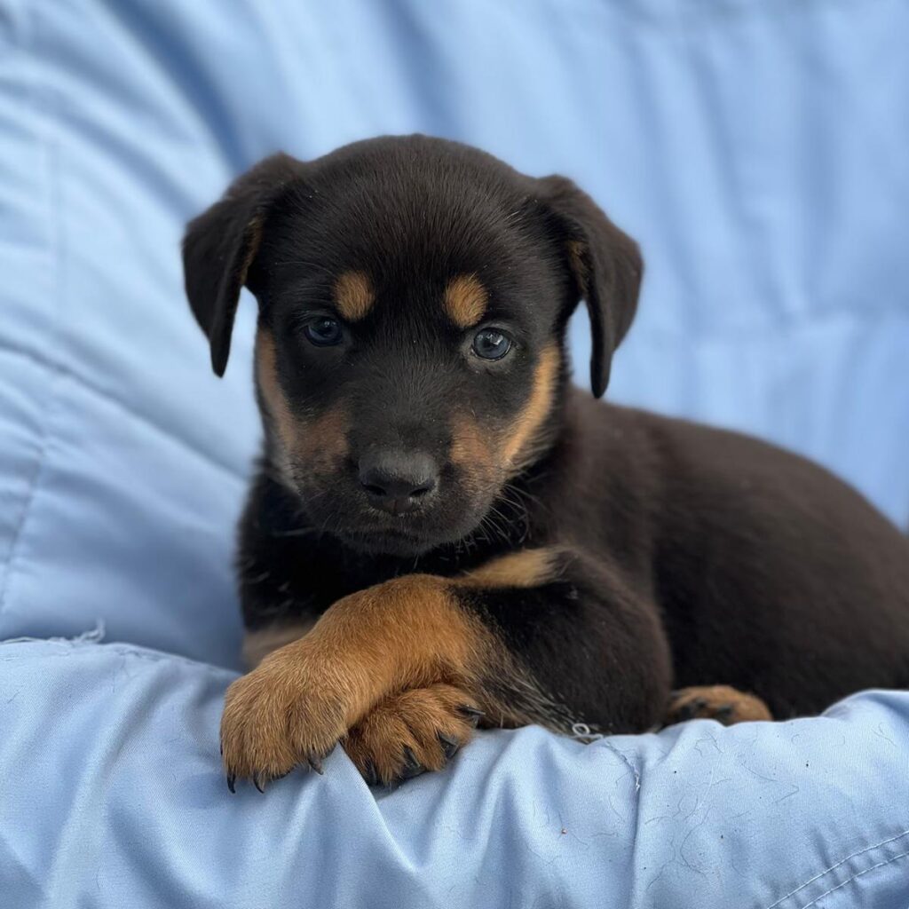 IMG_20260918_085711.jpg