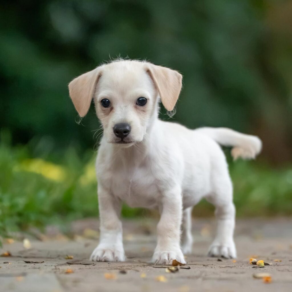 rav791246070_10165866113719789_3120588856883745693_n.jpg