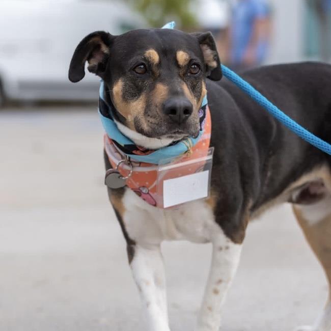 qIMG_3931.jpeg