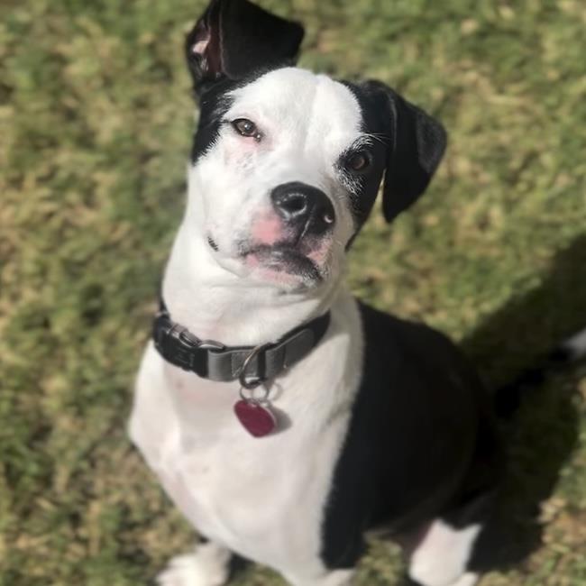 wyyleIMG_4019.jpeg